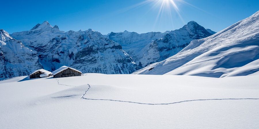 Embracing the festive spirit in Grindelwald