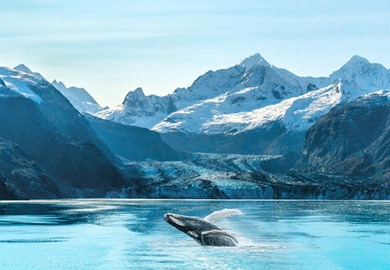 Glacier Bay National Park