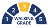 Walking Rating Scale 3