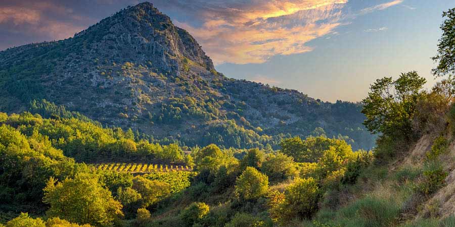 Tasting wines at Greece’s oldest winery